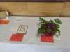 img_20260906_133238851_small.jpg